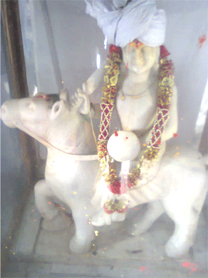 Chana Golu