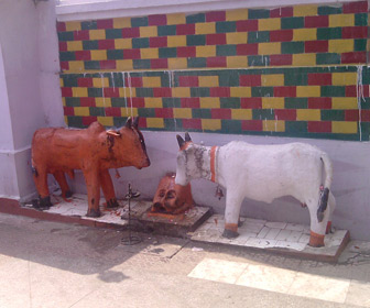 Oxes Pair in the Vimandeshwar Temple 